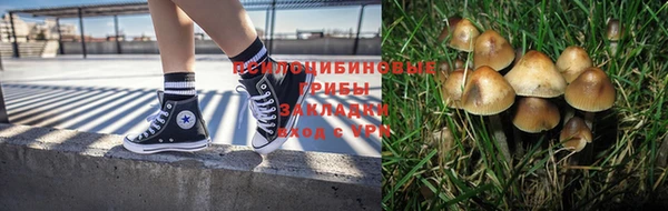 прущие грибы Киреевск