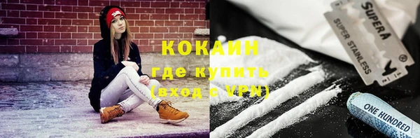 прущие грибы Киреевск