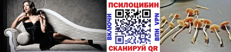 Купить  Джанкой  Галлюциногенные грибы Magic Shrooms 